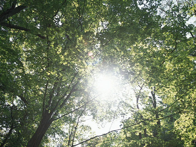 占いに頼る生活から卒業しましょう！の写真